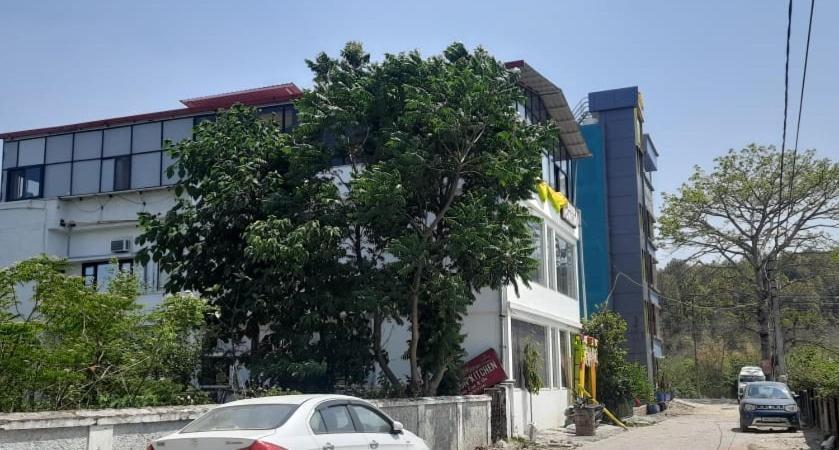 Hotel The Bird Ντεχραντούν Εξωτερικό φωτογραφία